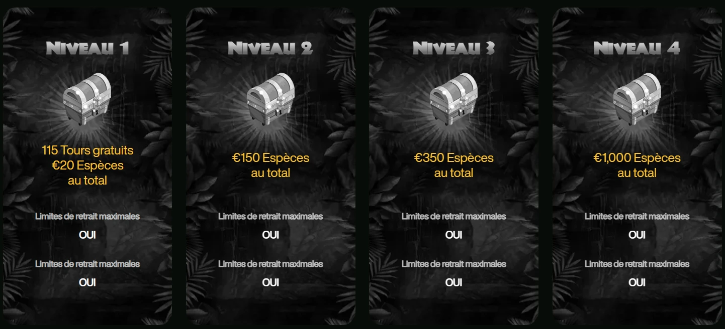 Niveaux VIP de Cash Win Casino